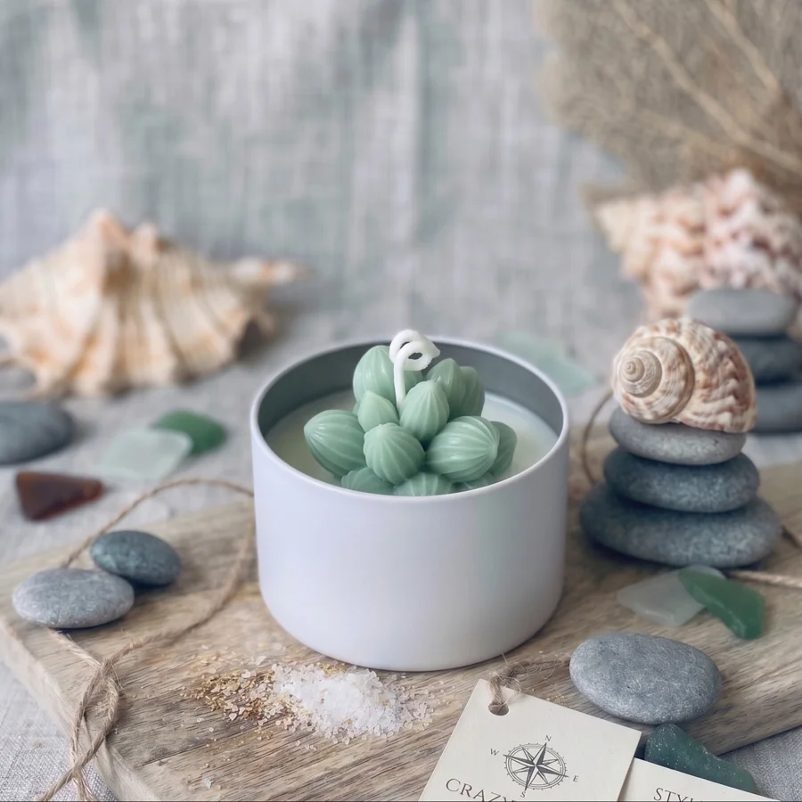 Sage succulent candle