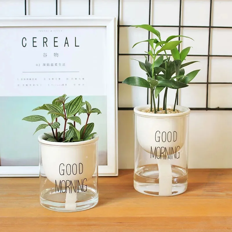 Ceramic self-watering planter